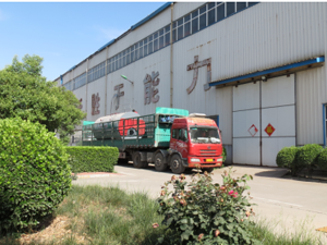 5月20日一臺8噸，一臺6噸燃?xì)忮仩t發(fā)貨